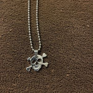 Dog tag style necklace with skull. Excellent Condition.